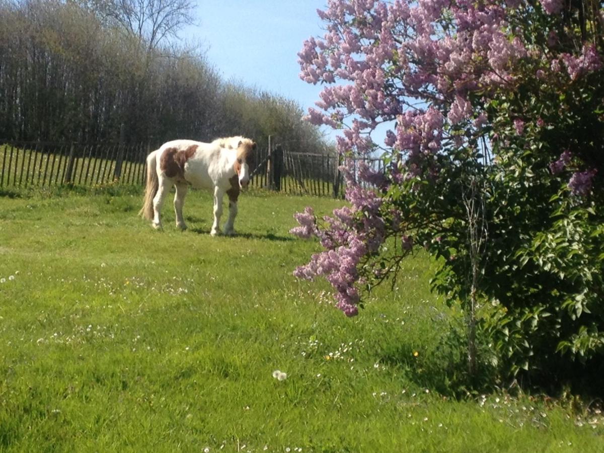 Vakantiehuis My Little Sweet *